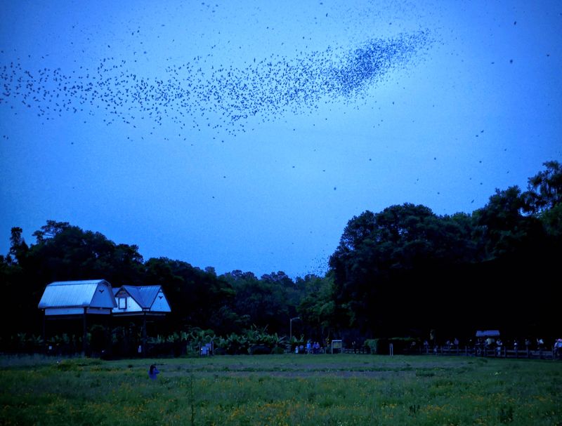 What You Will See During Emergence