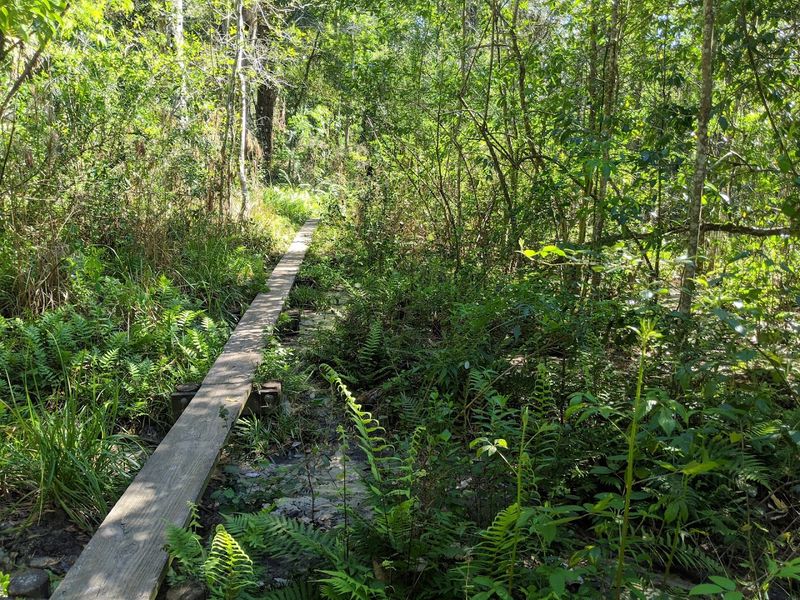 Hidden Waters Preserve (Eustis)