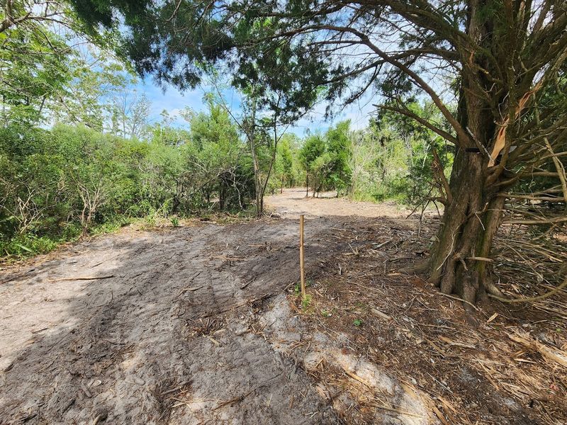 Nature Trails Loop Through Wild Florida