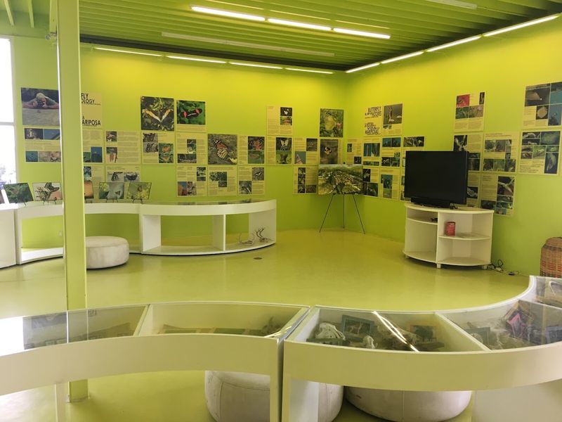 Educational Programs That Actually Engage Kids
