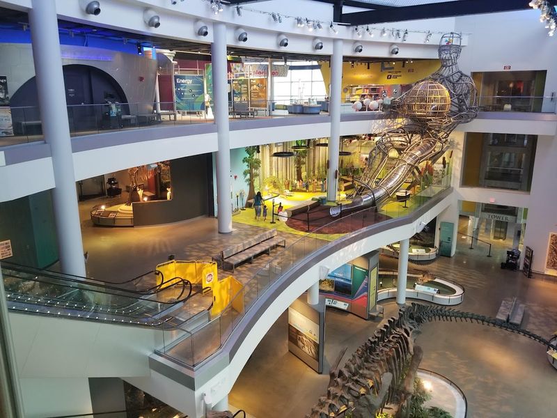 Interactive Exhibits That Make You Part of the Experience