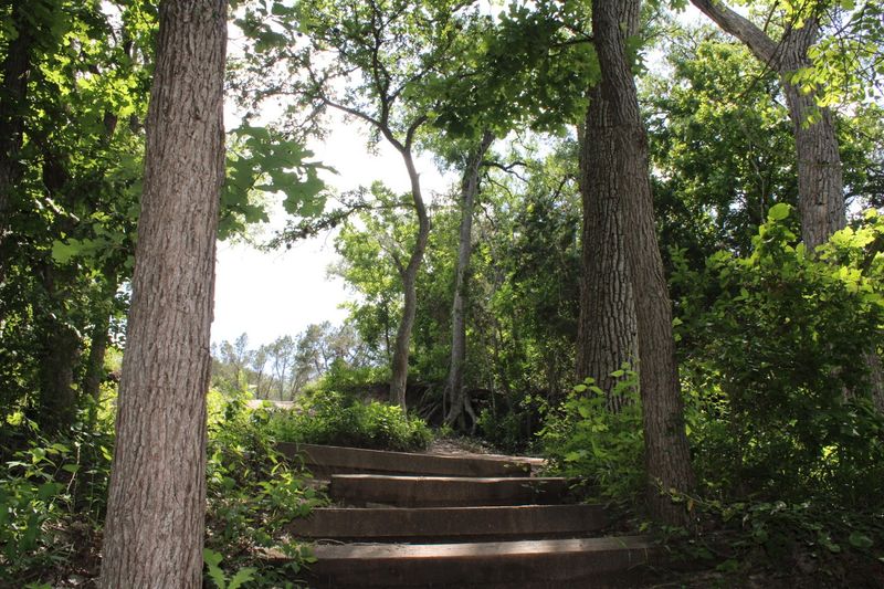 Unmarked Trails That Test Your Navigation