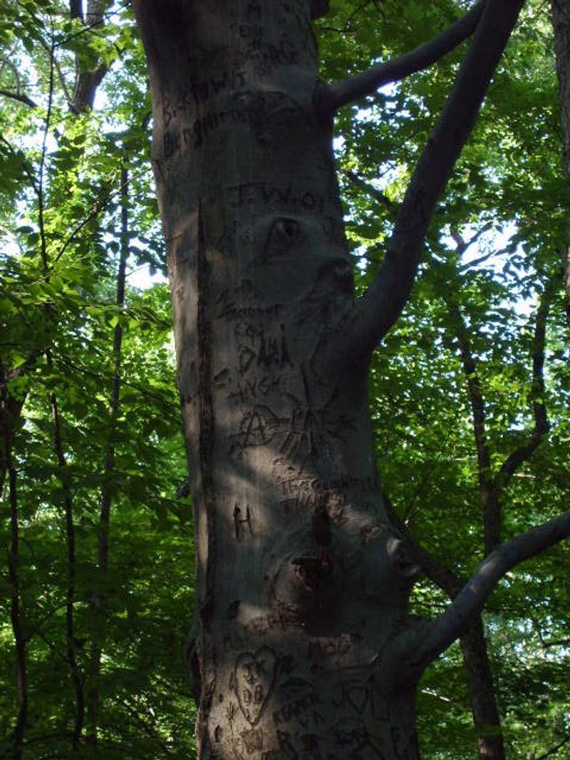 Off Season Photography and Quiet Moments