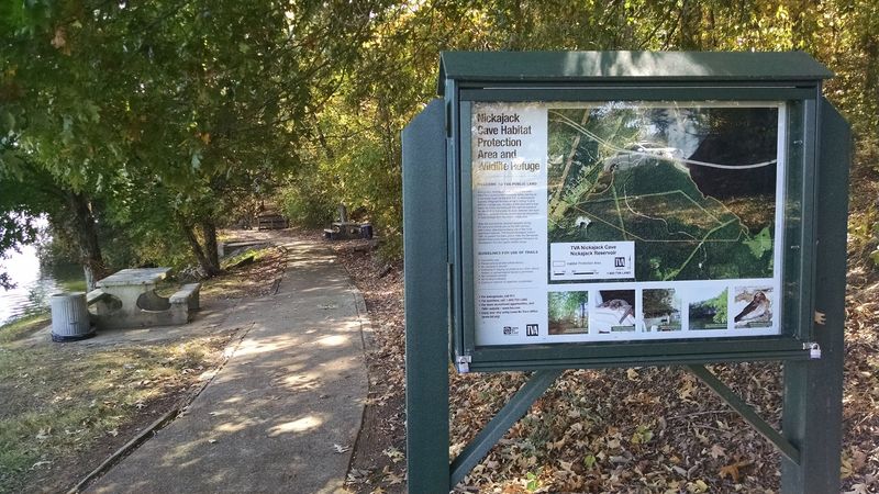 What to Know Before Visiting Nickajack Cave Wildlife Refuge