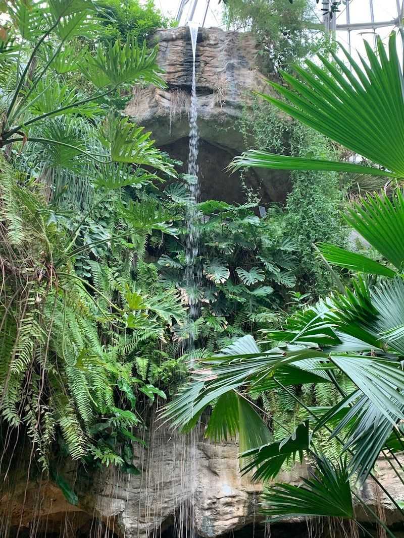 Photography Tips Inside the Dome