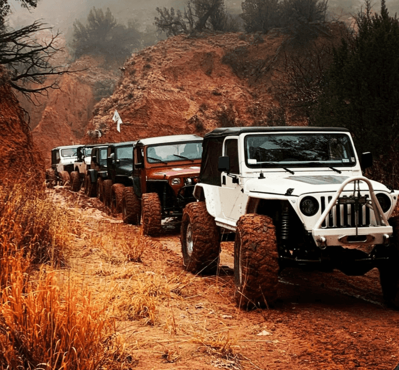 Guided Tours with Expert Local Guides