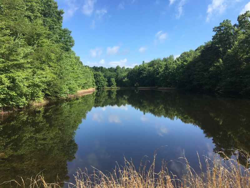 Cozy Cabin Stay on the Plateau