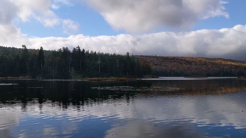 Choosing The Best Loops And Sites