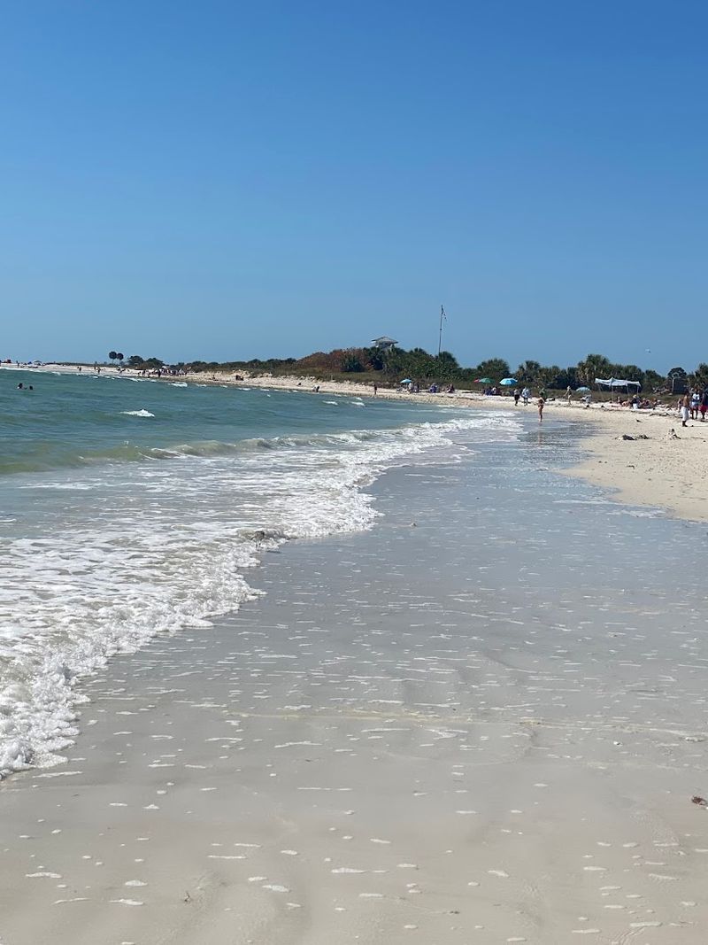 Dog-Friendly Beach Section