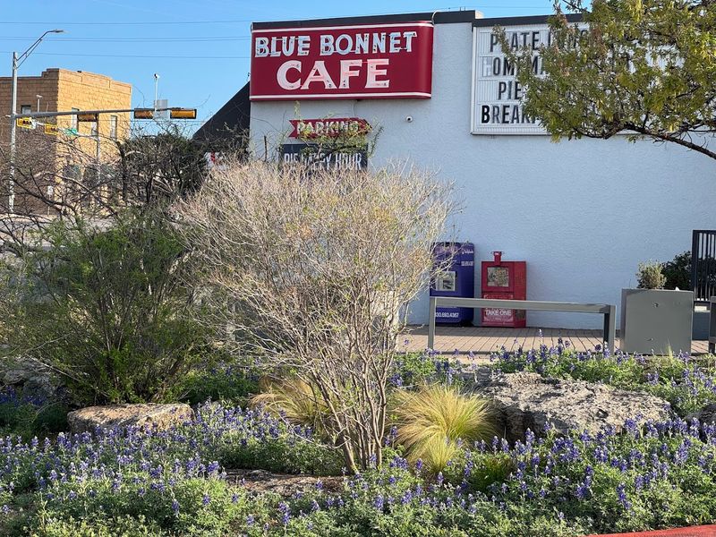 Blue Bonnet Cafe (Marble Falls)