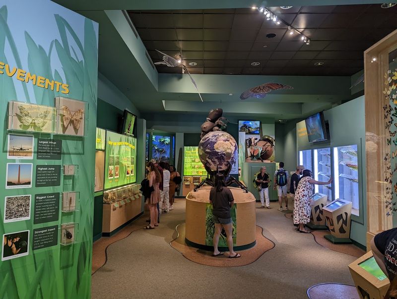 Ethics, Care, and What You Can Do