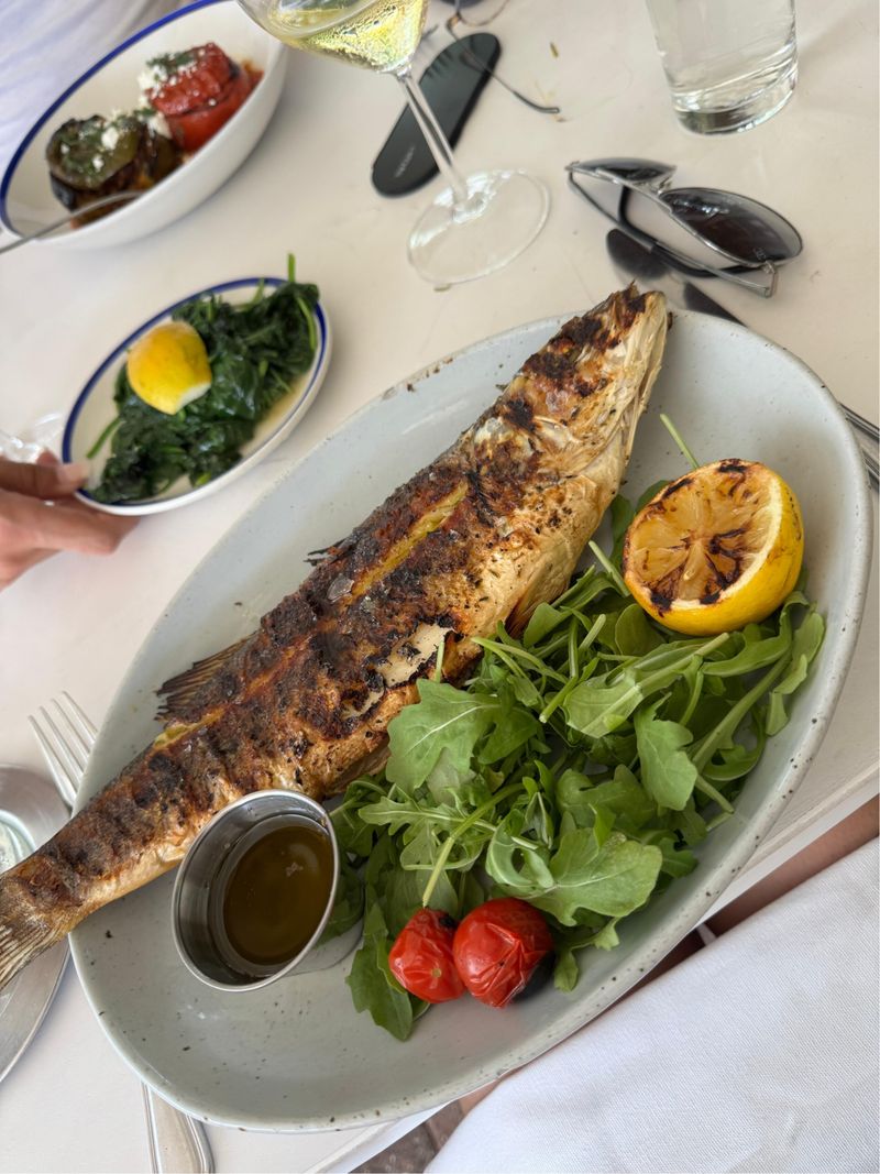 Sea Bass and Grilled Seafood Highlights