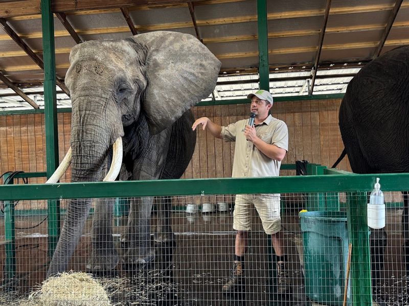 Myakka Elephant Ranch (Myakka City)