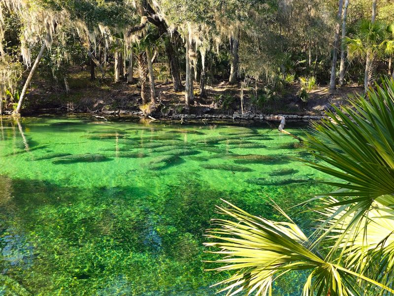 Blue Spring State Park (Orange City)