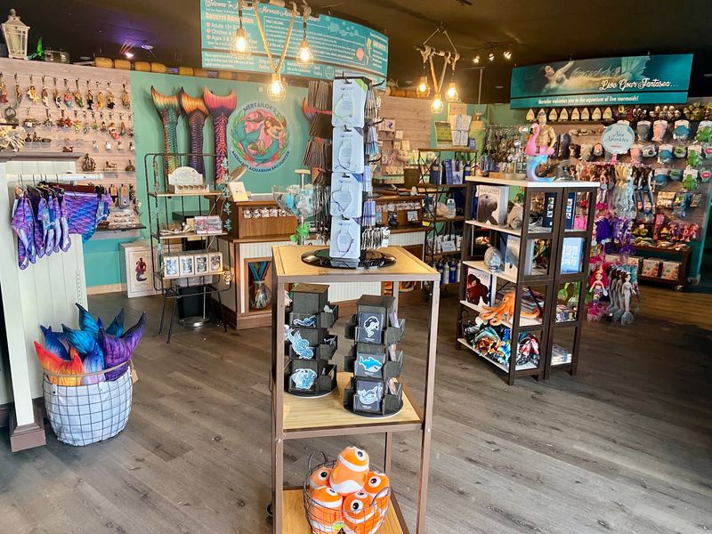 Tickets, Hours, and the Gift Shop