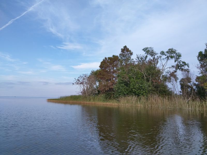 Lake Apopka (Orange/Lake Counties)