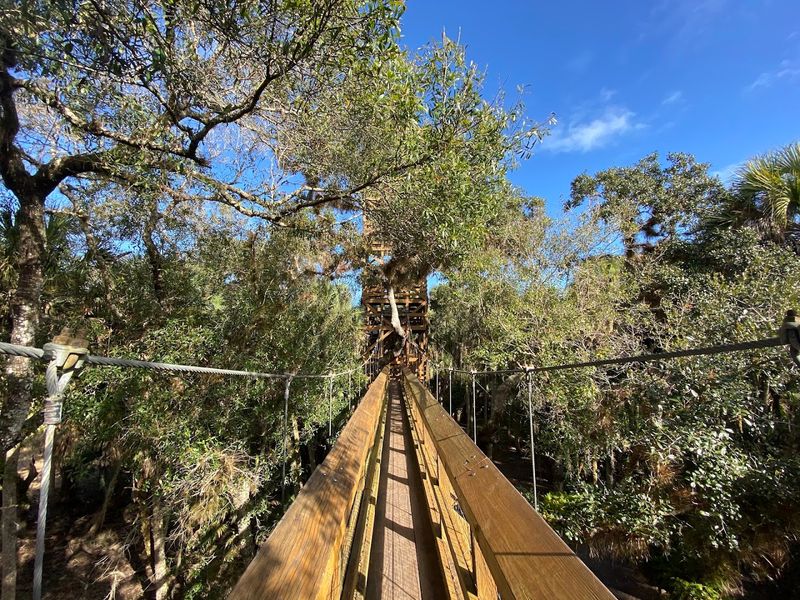 Canopy Walkway Trail (Myakka River State Park)