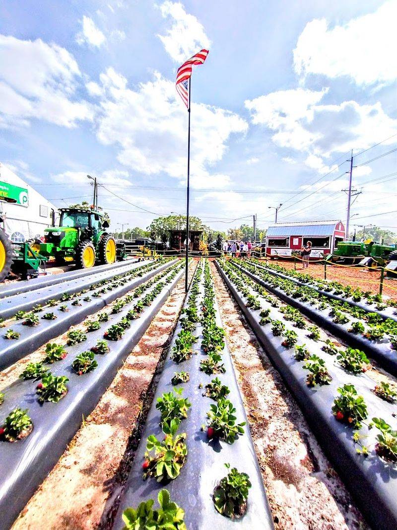 Agriculture Exhibits and Youth Showcases