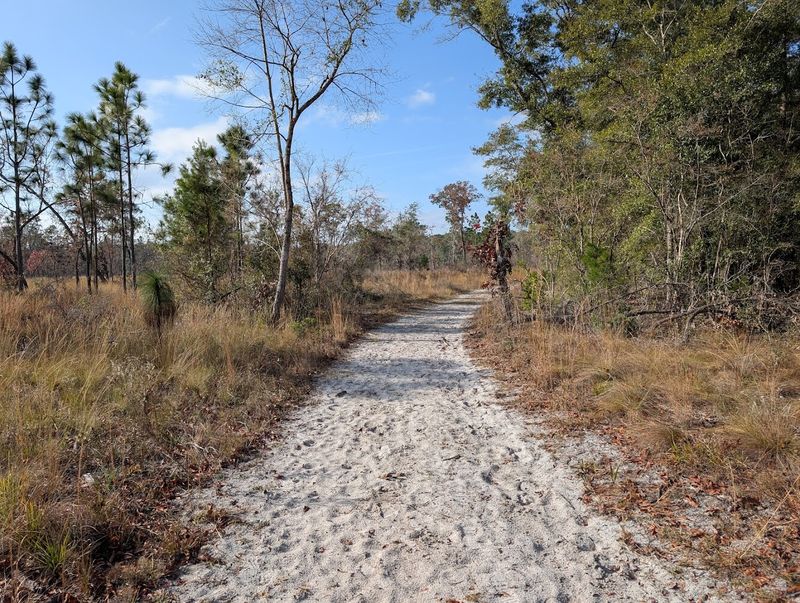 Sandy Trails That Challenge Your Legs