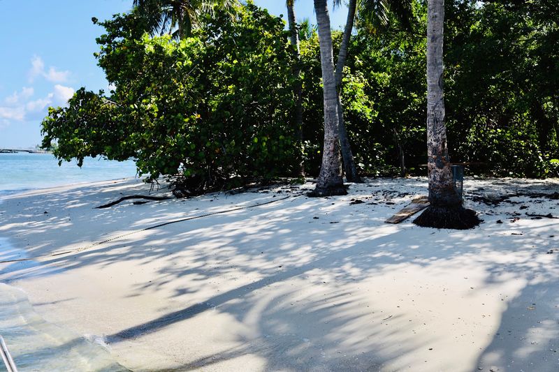 The Secret Sandy Beach Hangout