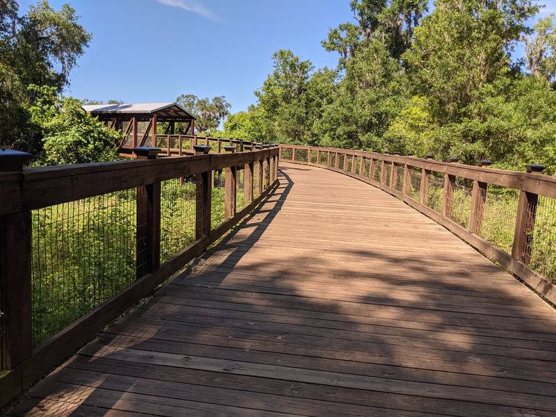 Lafayette Heritage Trail Covered Bridge (Tallahassee)