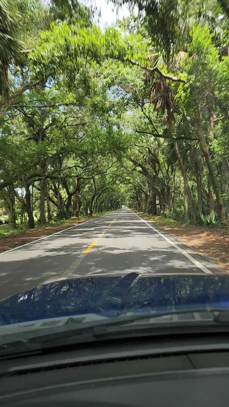 Best Time and How to Drive It Safely