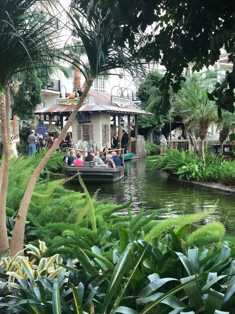 Why This Experience Works for More Than Just Tourists