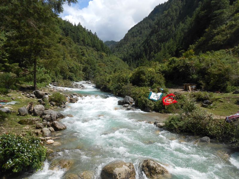 Waterfall Wonders: The Natural Beauty Surrounding Cookeville