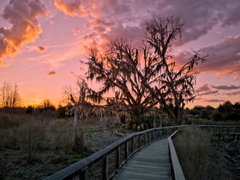 Bolen Bluff Trail Overlook