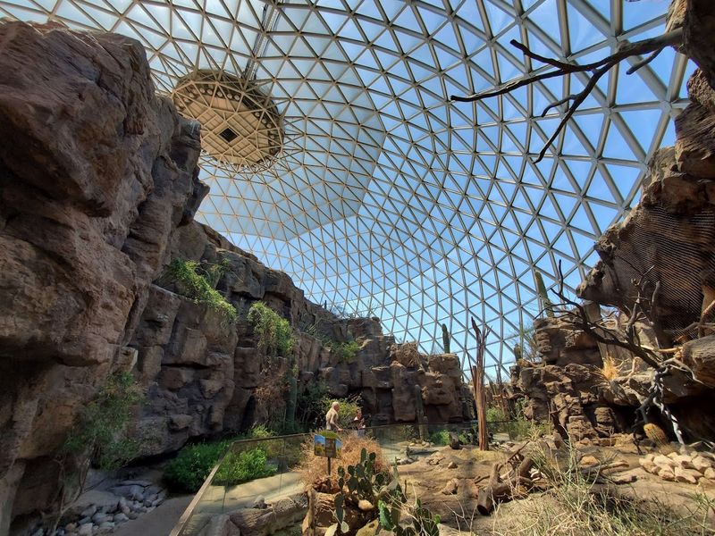 Kingdoms of the Night