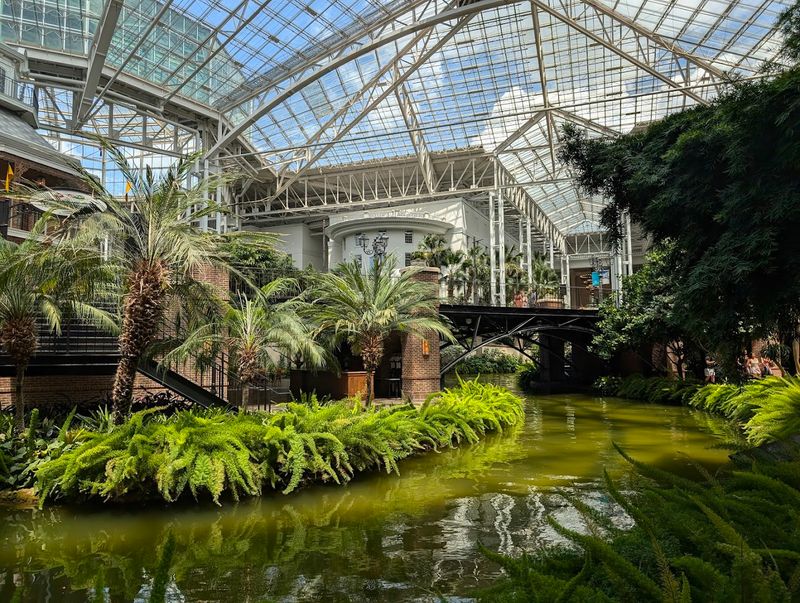 Inside the Nashville Conservatory That Feels Like Another World