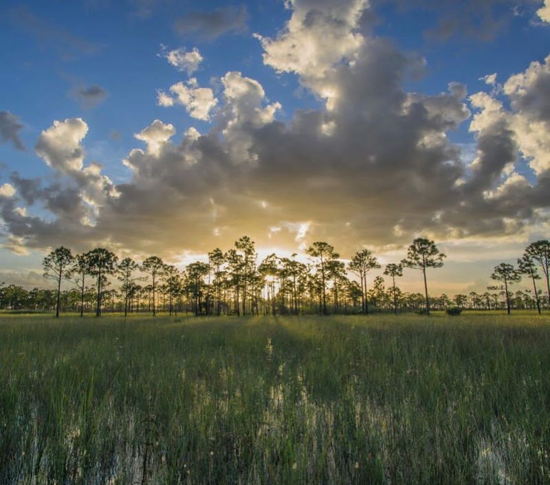 Seasonal Timing That Makes or Breaks Your Trip