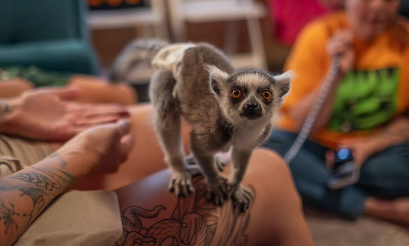 Tucked Away in Columbia, This Farm Is Full of Unexpected Animal Encounters