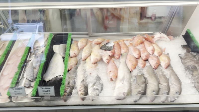 Fish Counter Selection That Rivals Any Coastal Market