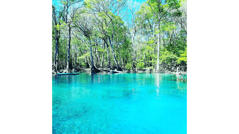 Cypress Springs — Vernon / Holmes Creek