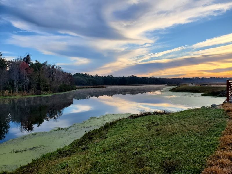 Nature Access Costs Nothing