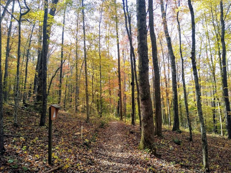 The Walking Trails That Make It Easy to Explore