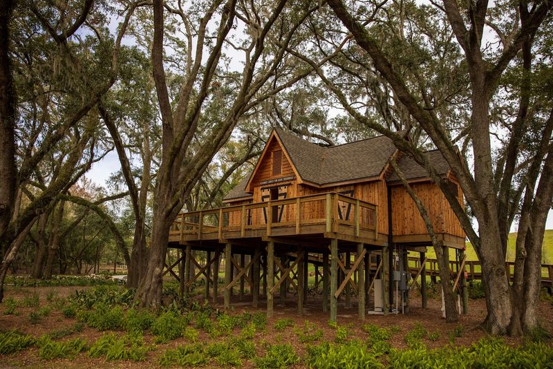 Treehouse Area That Outshines Most Indoor Play Spaces