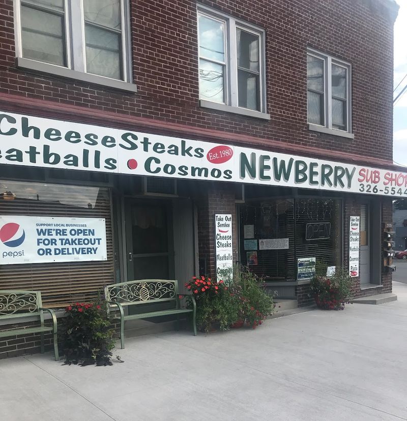 Newberry Sub Shop (Williamsport)
