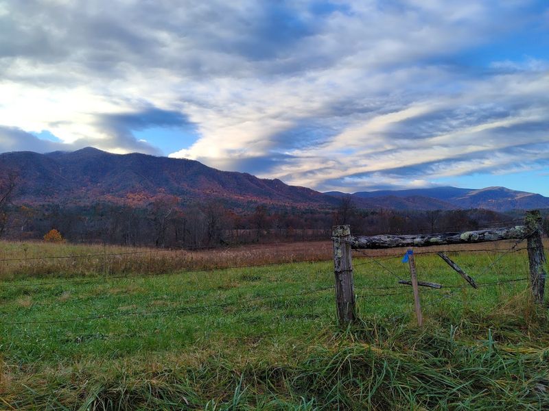 Wildlife, Scenic Views, and the Cades Cove Loop