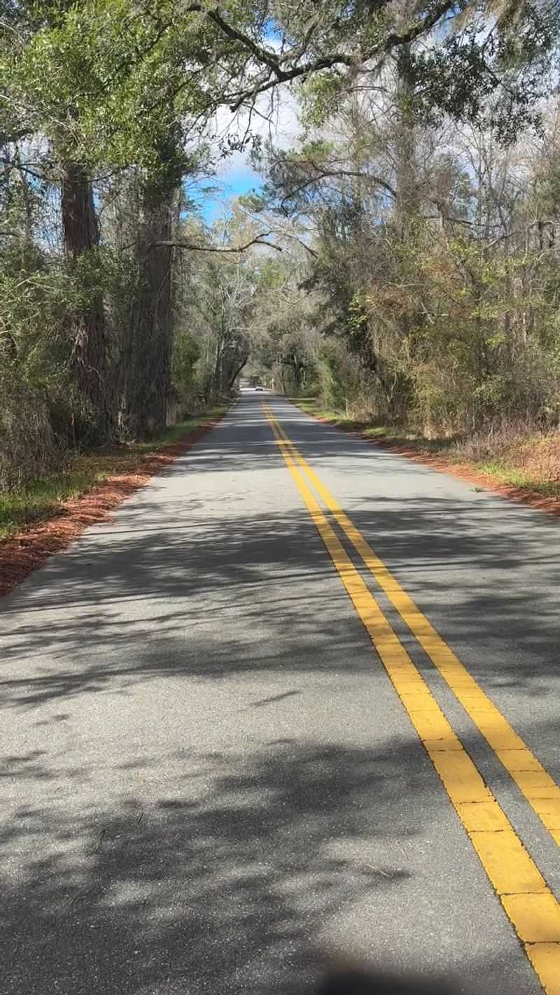 Big Oak Trees and Slow Country Roads