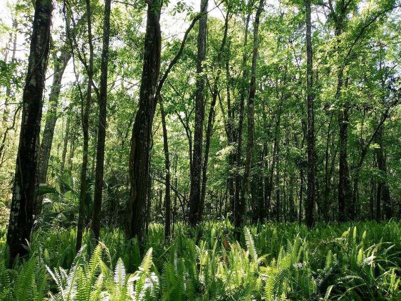 Outdoor Recreation Without the Tourist Crowds