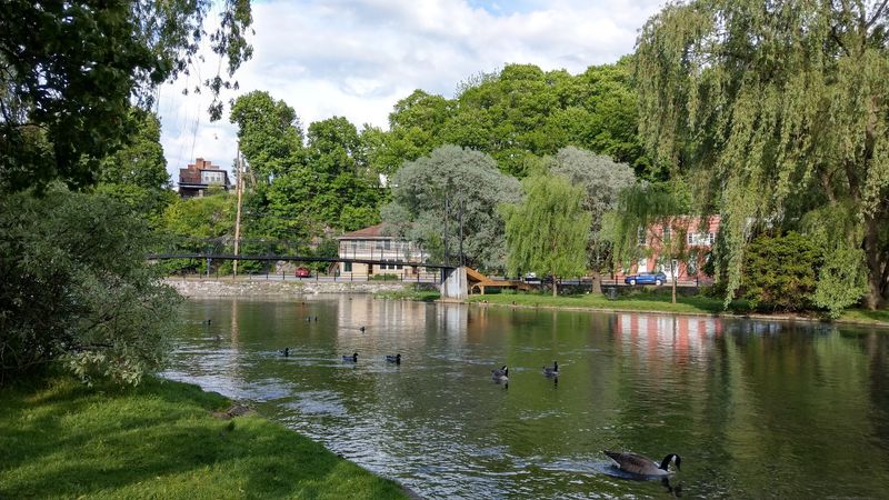 Talleyrand Park&rsquo;s Vintage Strolls