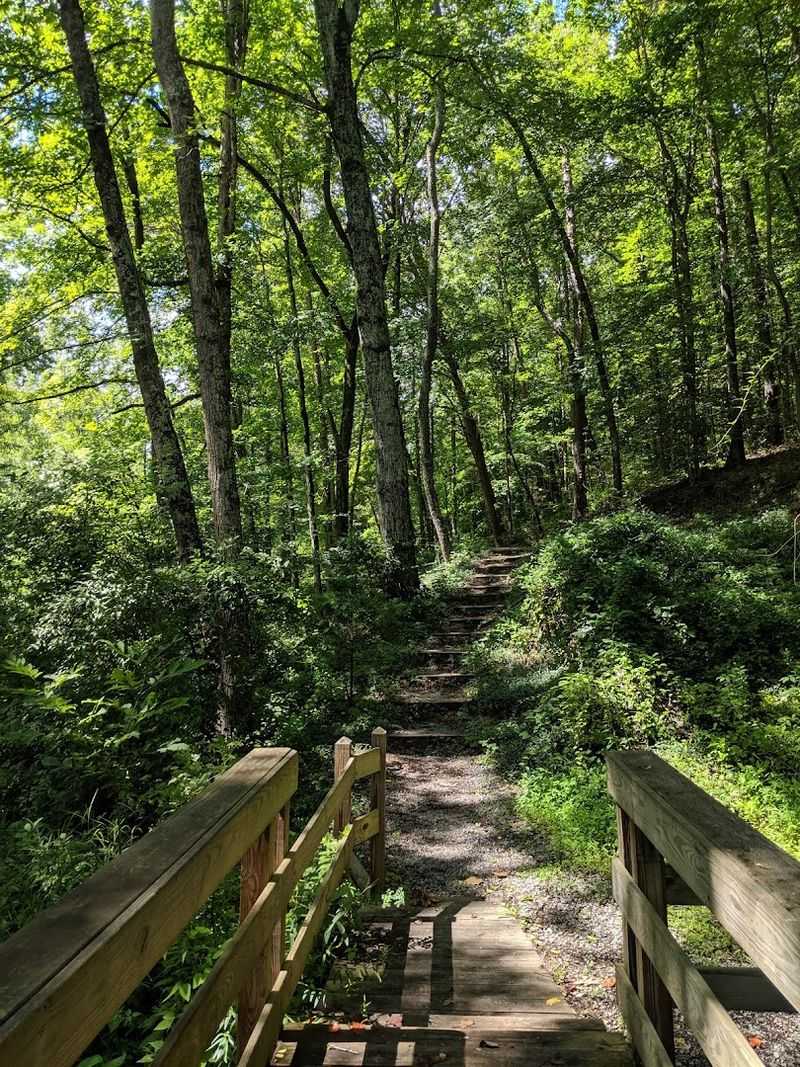 This Peaceful Tennessee Arboretum Is Packed With More Than 2,500 Plant Specimens