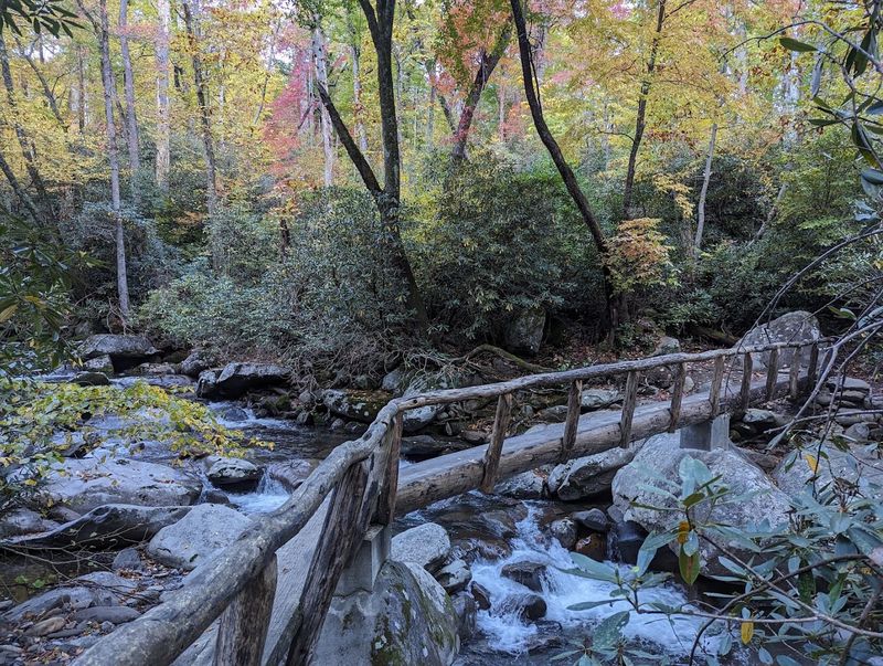 What You'll See Along the Trail