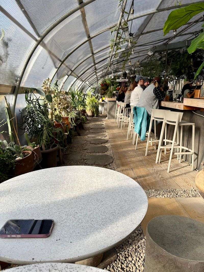 Why the Greenhouse-Inspired Design Stands Out