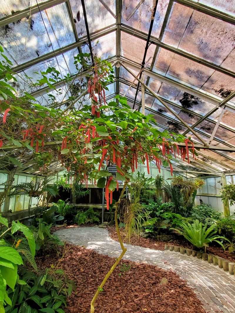 The Greenhouse Stops Everyone in Their Tracks