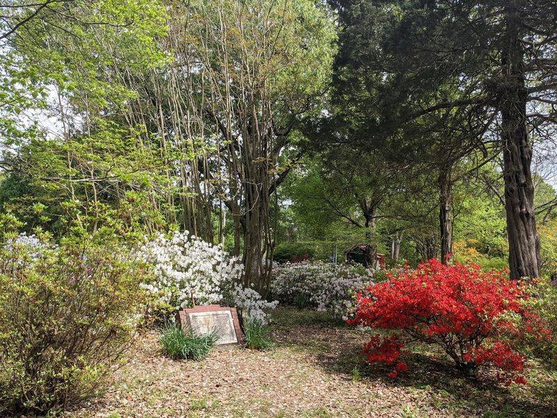 The Best Time to Catch Oaklawn Garden at Its Most Colorful