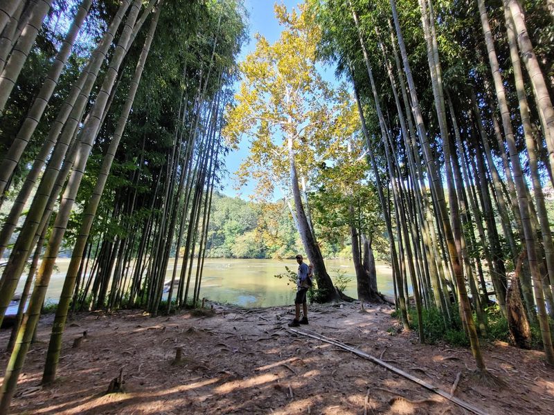 East Palisades Trail & Bamboo Forest