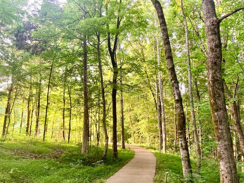 The Trails Make It Easy to Slow Down and Take It All In